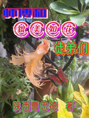 师傅她貌美如花